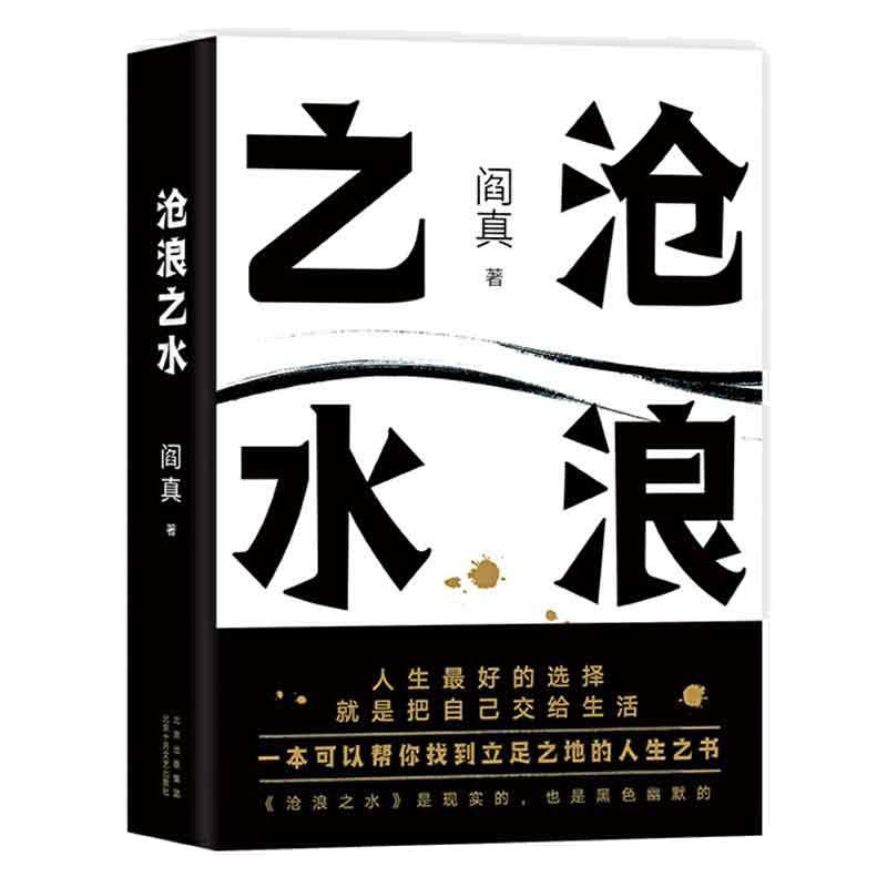 沧浪之水 阎真著