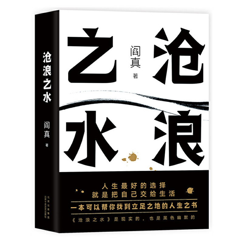沧浪之水 阎真著